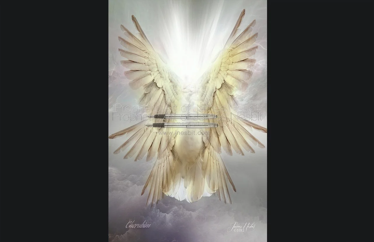 Cherubim+WM+24+.jpg?format=1000w